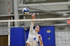 Volleyball vs Babson  Wheaton Women's Volleyball vs Babson College. - Photo by Keith Nordstrom : Wheaton, Volleyball, VB